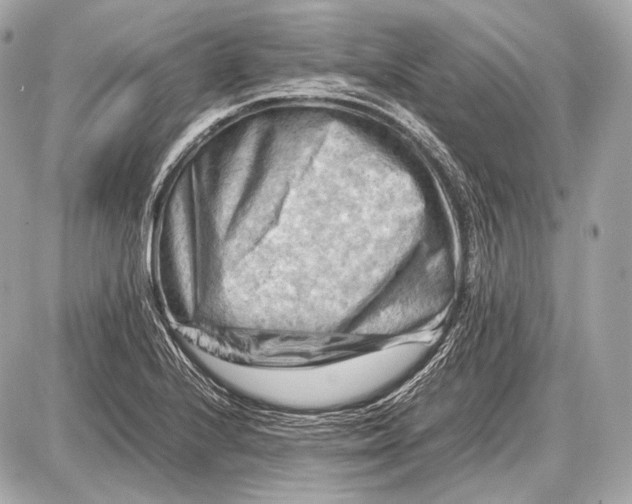 X0000087401224200705111817