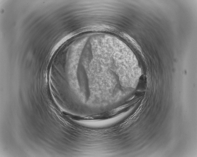 X0000087401226200705111817