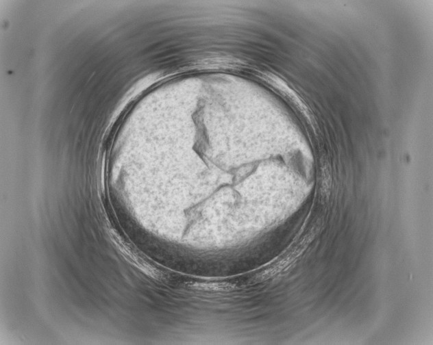 X0000087401227200705111817