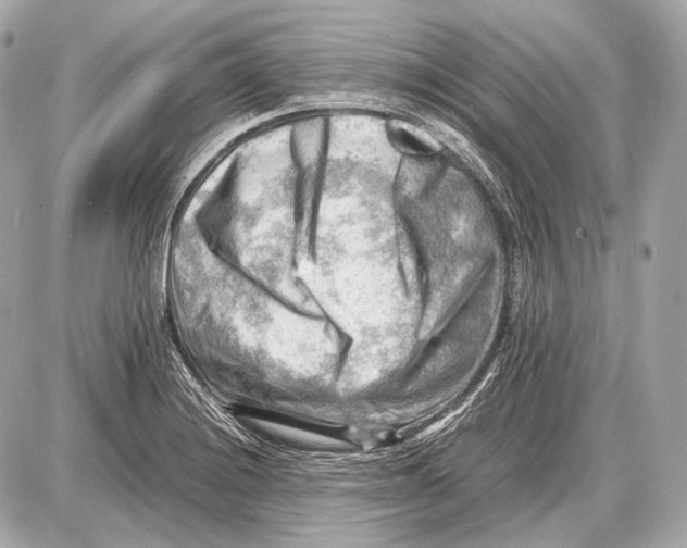 X0000087401228200705111817