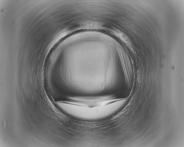 X0000087401229200705111817