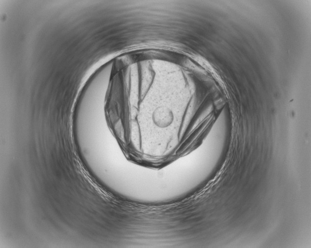 X0000087401230200705111817