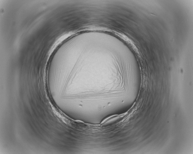 X0000087401231200705111817