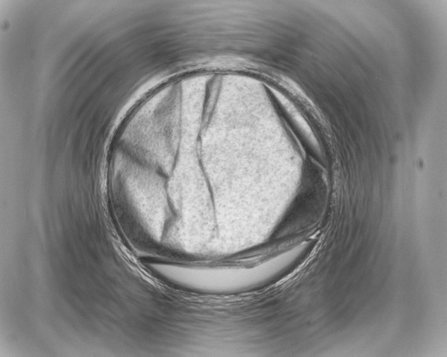 X0000087401232200705111817