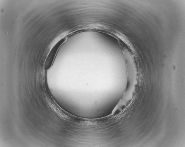 X0000087401234200705111817