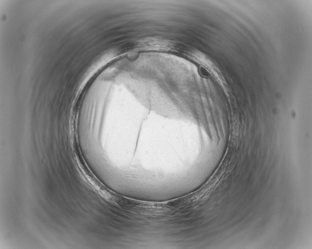 X0000087401235200705111817