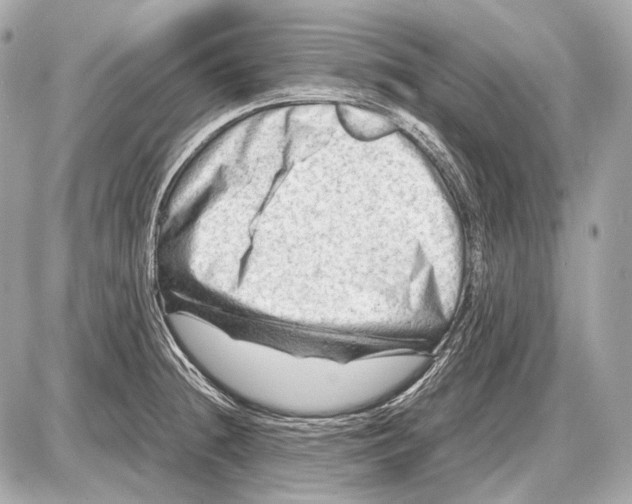 X0000087401236200705111817