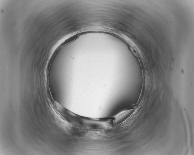 X0000087401238200705111818