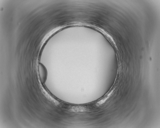 X0000087401239200705111818