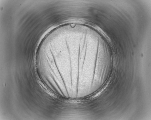 X0000087401240200705111818