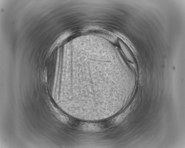 X0000087401241200705111818