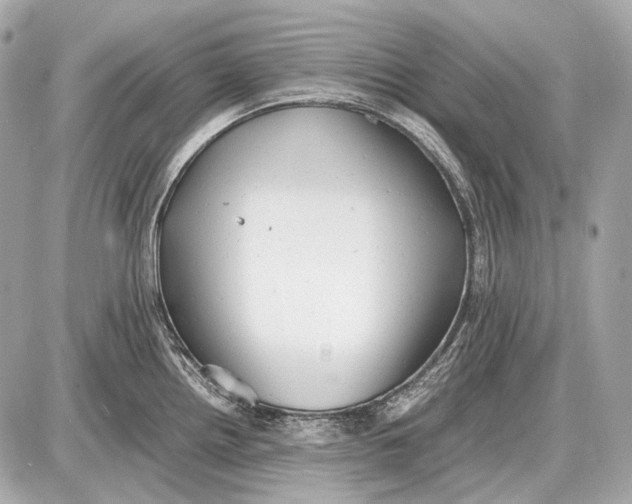 X0000087401242200705111818