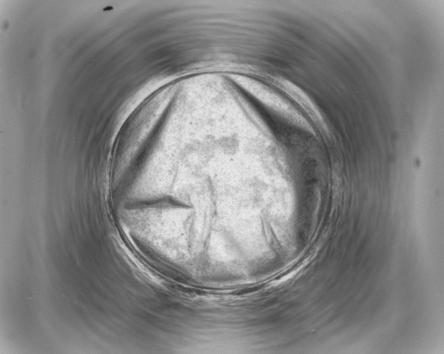 X0000087401244200705111818