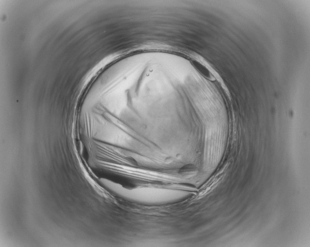 X0000087401245200705111818