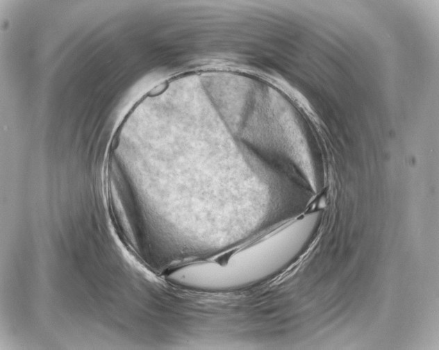 X0000087401247200705111818