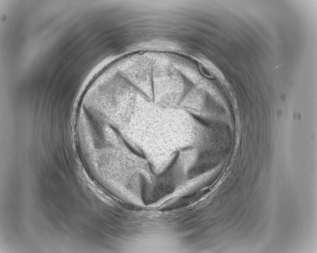 X0000087401248200705111818