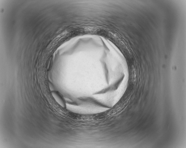 X0000087401249200705111817