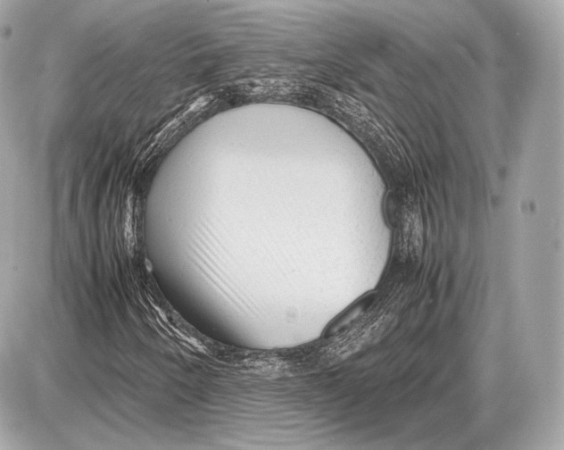 X0000087401250200705111817