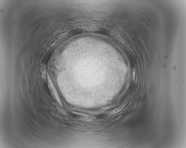 X0000087401251200705111817