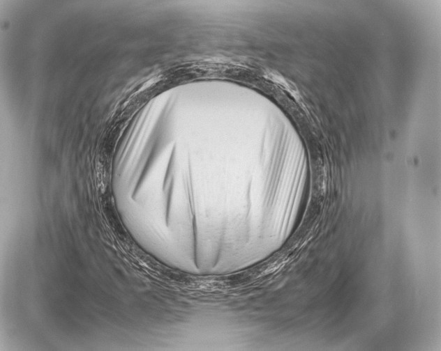 X0000087401253200705111817