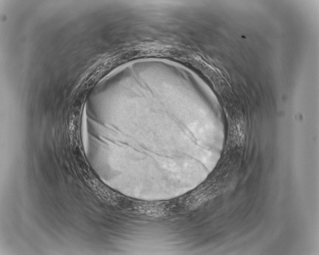 X0000087401254200705111817