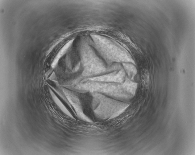 X0000087401256200705111817