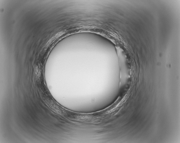 X0000087401257200705111817