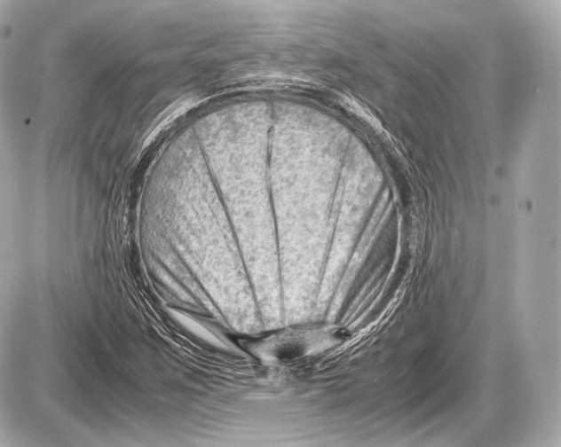 X0000087401259200705111817