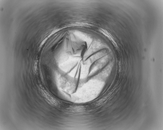 X0000087401260200705111817