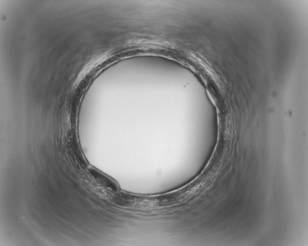 X0000087401261200705111817