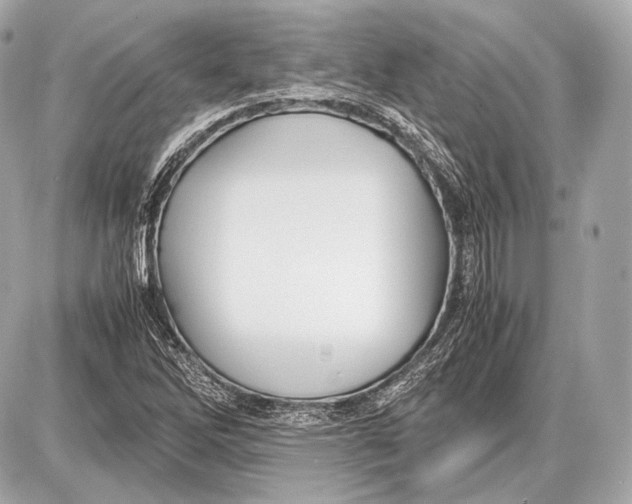 X0000087401262200705111817