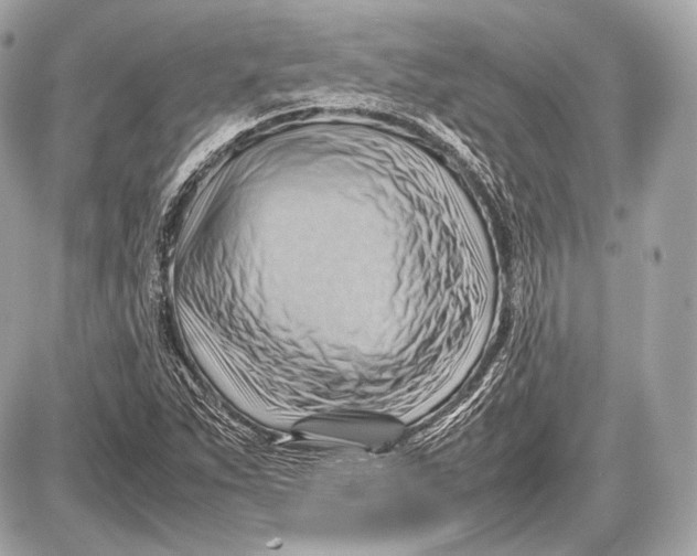 X0000087401263200705111817