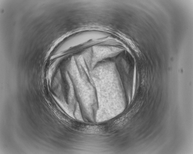 X0000087401264200705111817