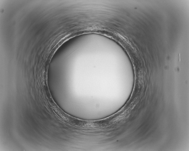 X0000087401265200705111817