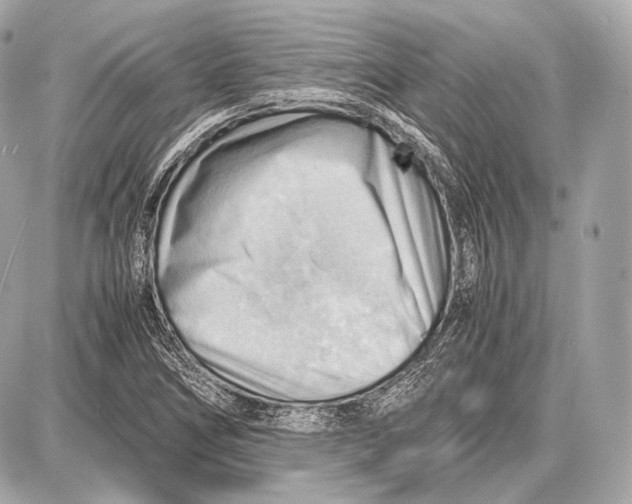 X0000087401266200705111817