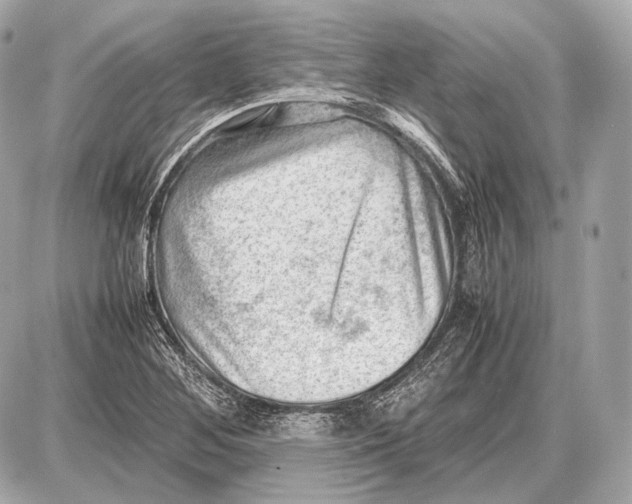 X0000087401268200705111817