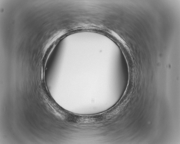 X0000087401269200705111817