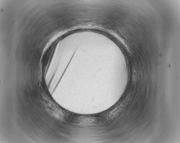 X0000087401270200705111817