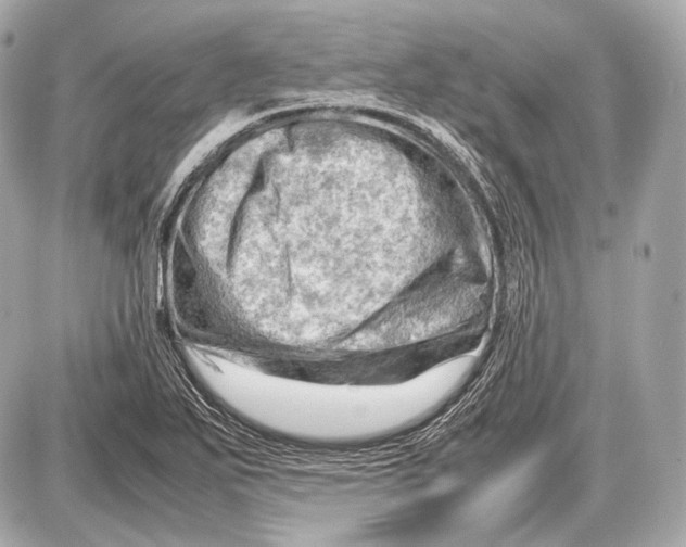 X0000087401271200705111817