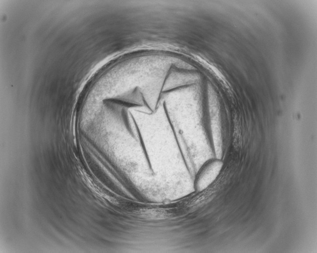 X0000087401272200705111817