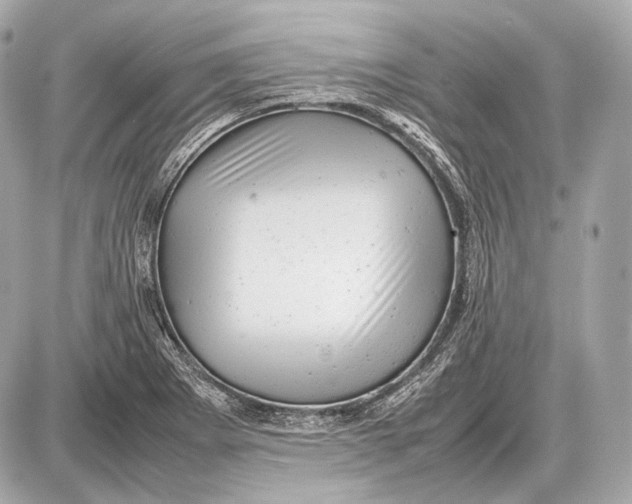 X0000087401273200705111816