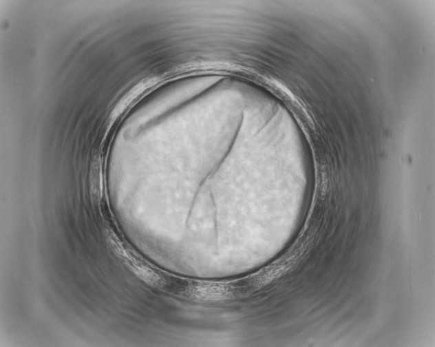 X0000087401274200705111816