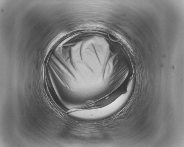 X0000087401275200705111816