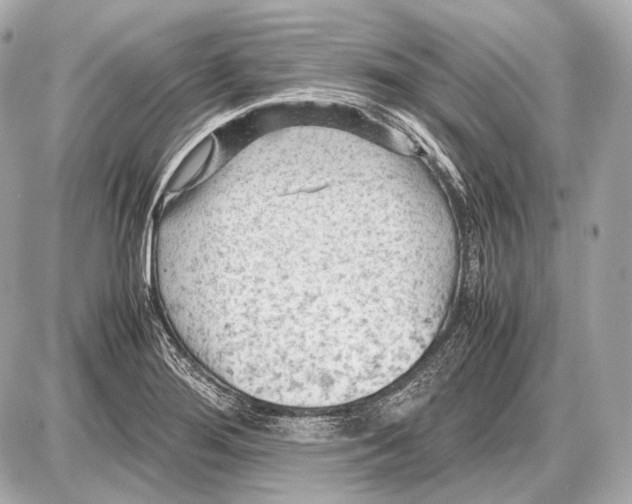 X0000087401276200705111816