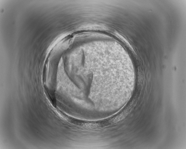 X0000087401277200705111816