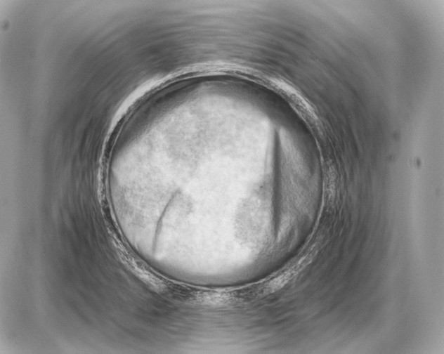 X0000087401278200705111816