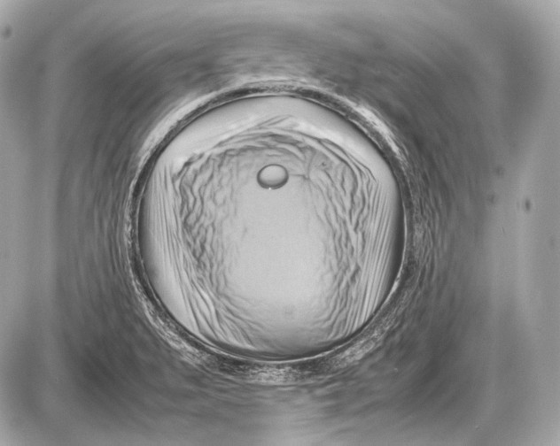 X0000087401279200705111816