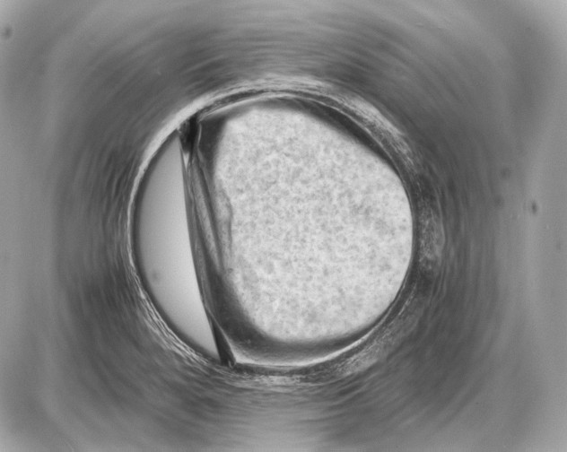 X0000087401280200705111816