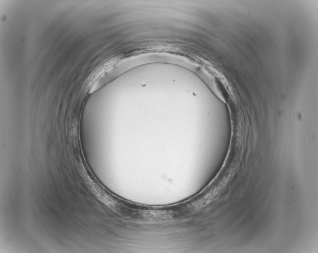 X0000087401281200705111816