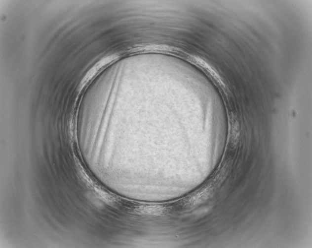 X0000087401282200705111816